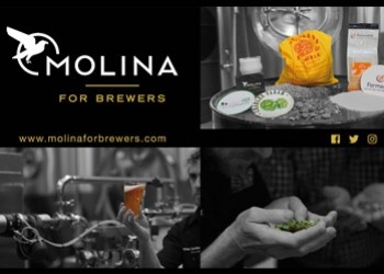 ¿Por qué Molina for Brewers?